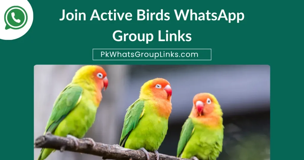 Join Active Birds WhatsApp Group Links